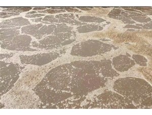 廢水處理中常用的氧化劑和還原劑有哪些？
